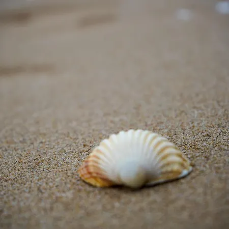 Apartamento Le Coquillage Bleu - Parenthèse Marine à Cabourg
