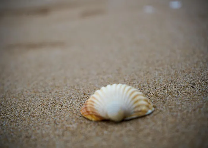 アパート Le Coquillage Bleu - Elegance Marine A カブール